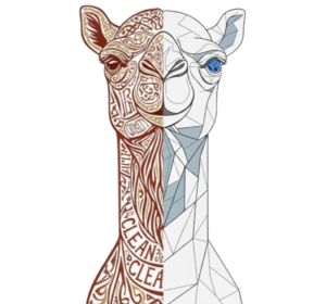 camelCase Digital Transformation