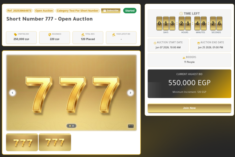 NTRA Auction Frontend